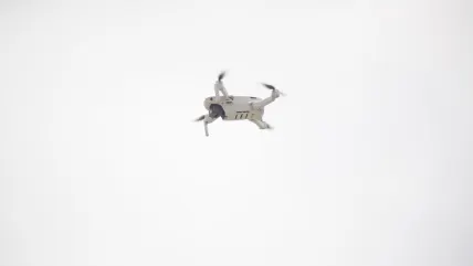 보텍스 카지노 모바일 앱